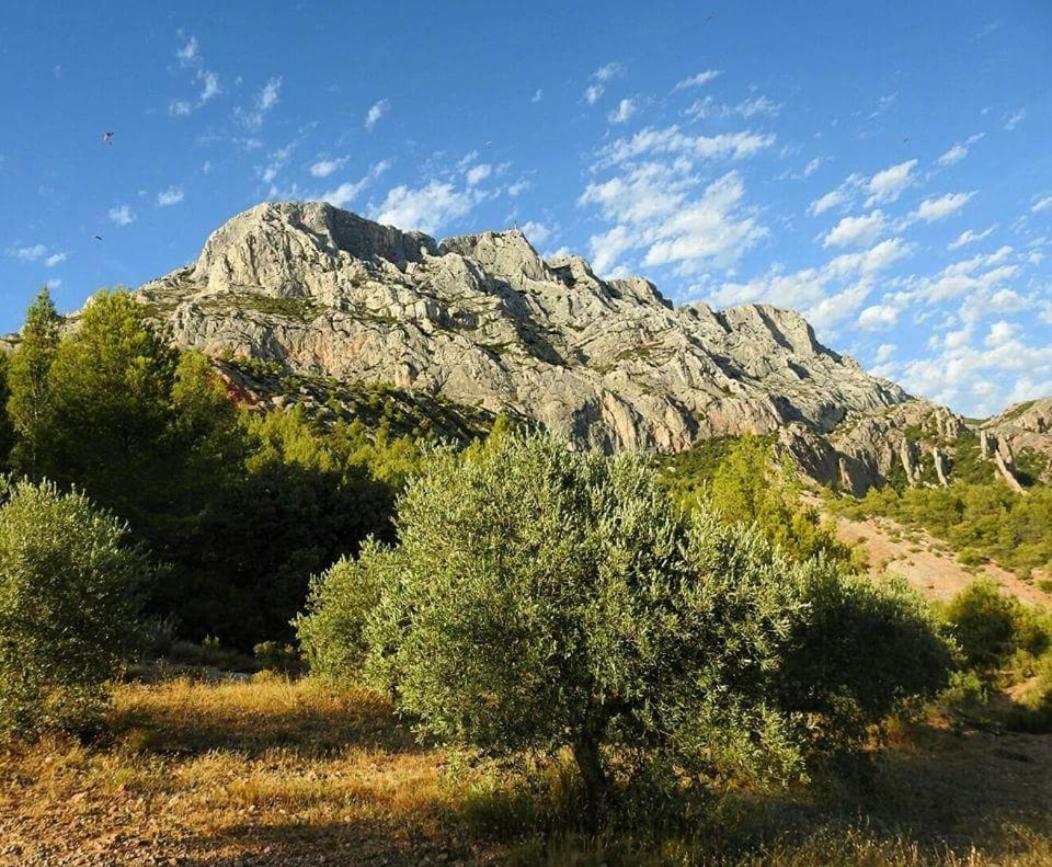 Chambre D'Hotes Le Secadou La Ciotat Kültér fotó